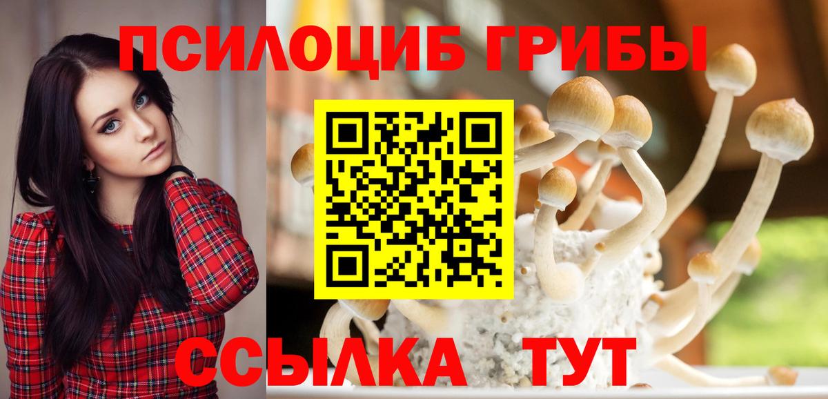 Галлюциногенные грибы GOLDEN TEACHER  Вход с VPN  Татарск 